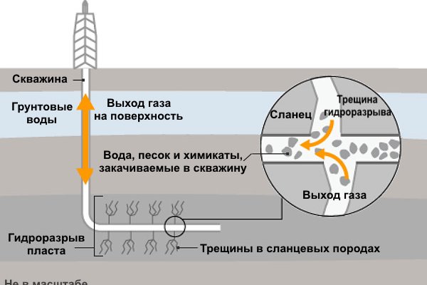 Рабочий кракен