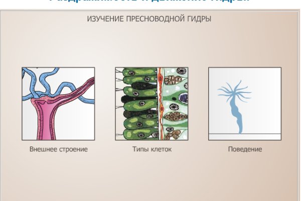 Kraken zerkalo официальный сайт