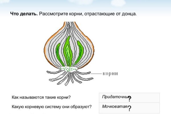 Что за маркетплейс кракен